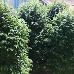 Meuble De Tourisme 2* Les Jardins De L Arquebuse Lejlighed Dijon