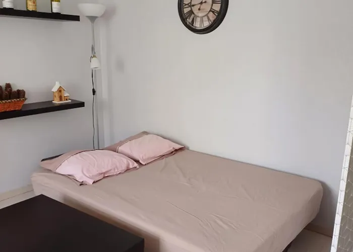 Apartment Meuble De Tourisme 2* Les Jardins De L Arquebuse Dijon