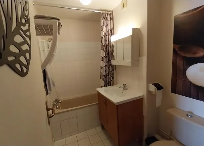 Meuble De Tourisme 2* Les Jardins De L Arquebuse * 디종