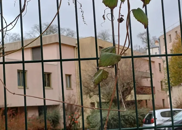 Meuble De Tourisme 2* Les Jardins De L Arquebuse * ディジョン